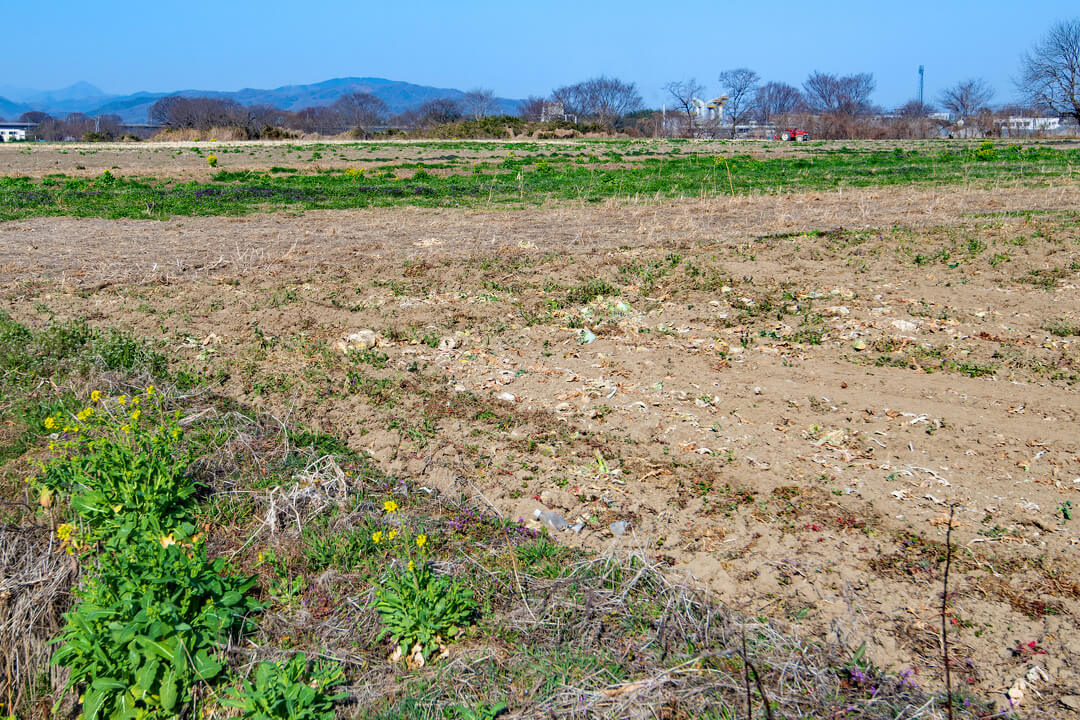 農地を相続したが、いらないので処分したい。どうすればいい？